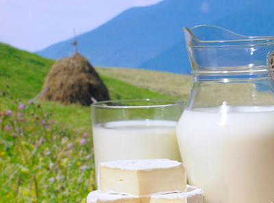 Роль кисломолочных и молочных продуктов в Адыгейской кухне