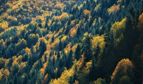 Грузия: фоторепортаж о Верхней Сванетии