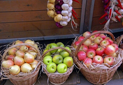 Чем заняться в сентябре на даче? Сбор и хранение продуктов. (часть 1)