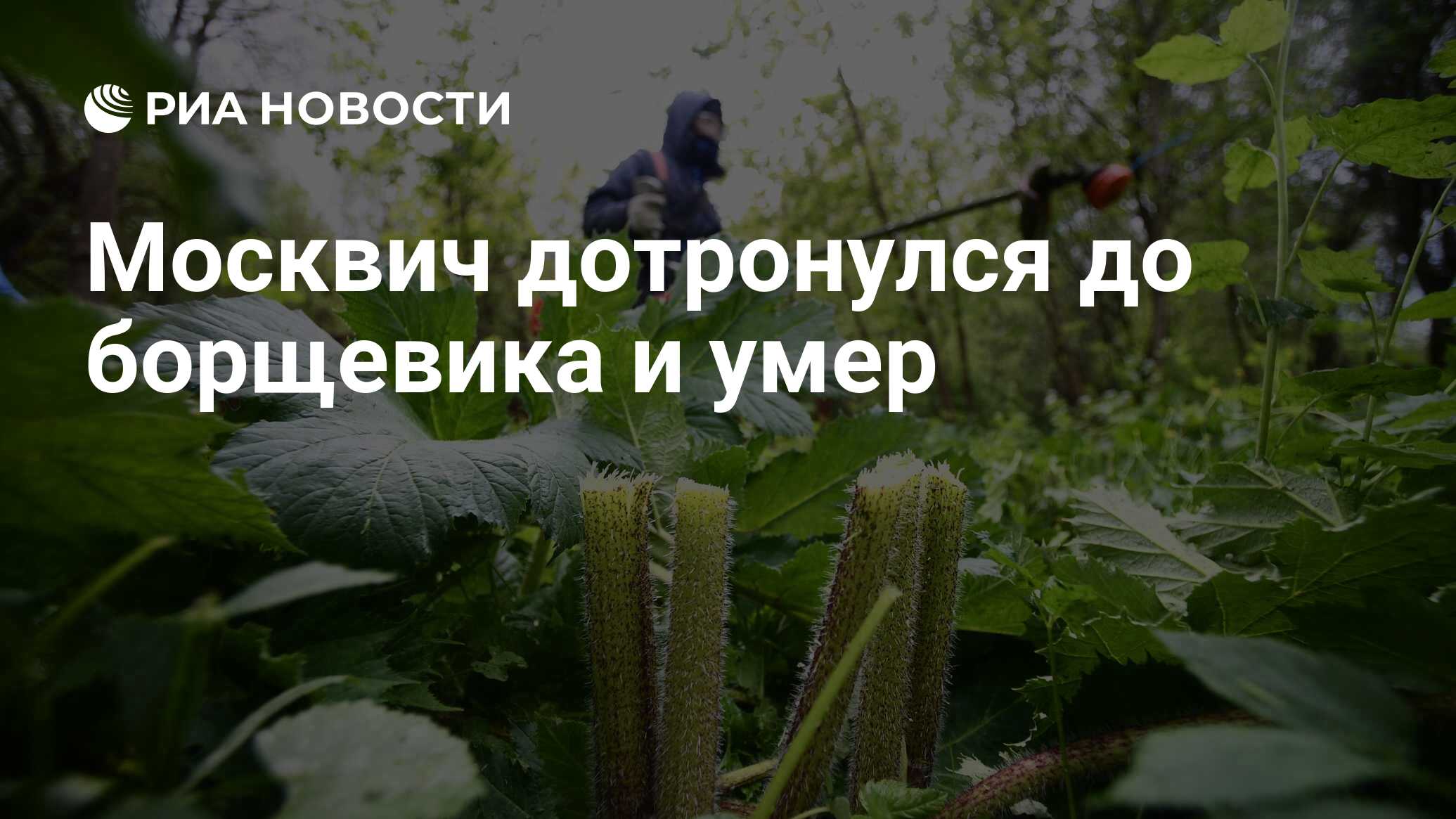 Новые штрафы для дачников или, где же поставить мангал на даче