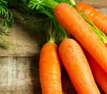 10 натуральных продуктов для борьбы с никотином
