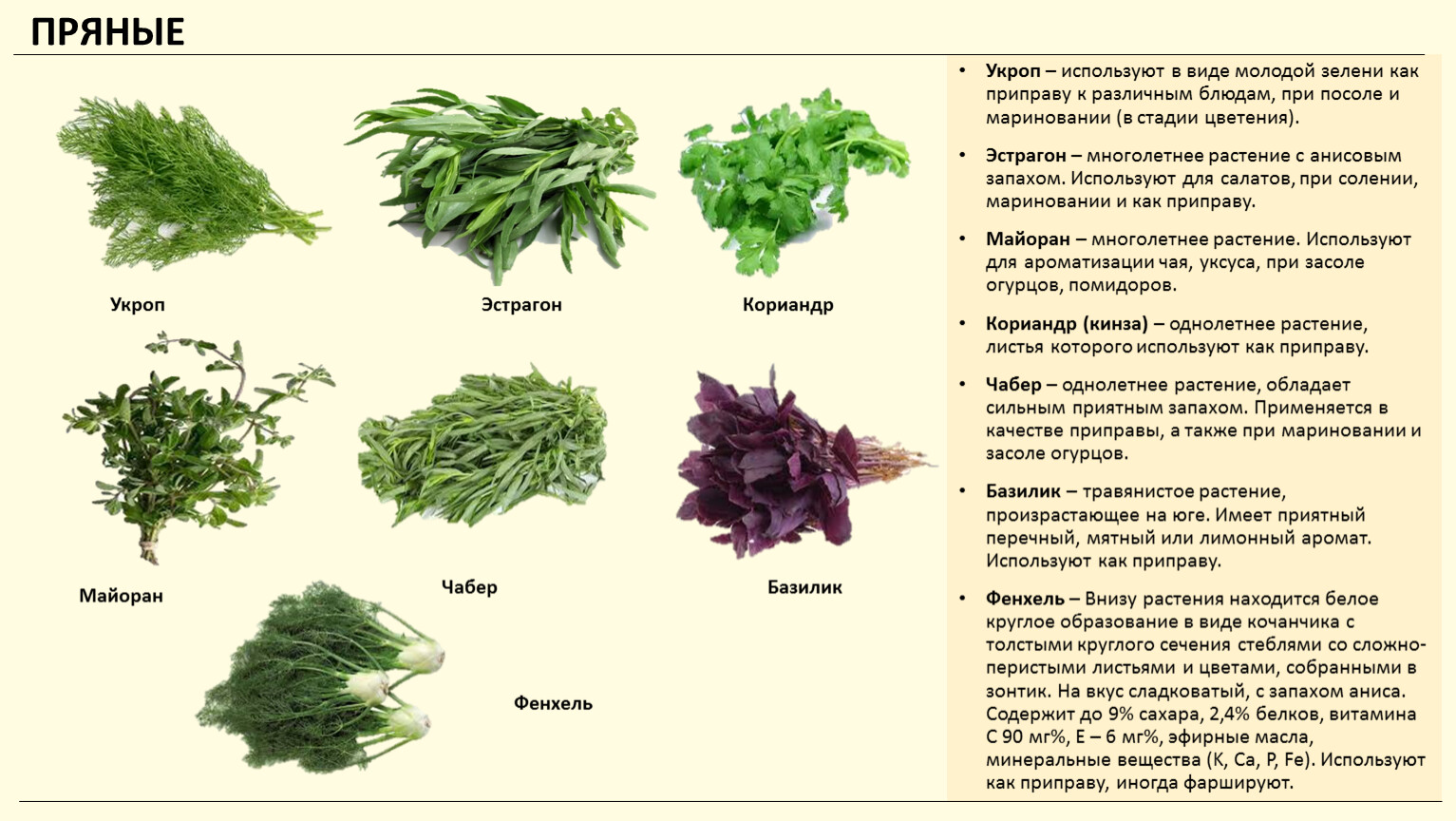 Рецепты, блюда национальной кухни