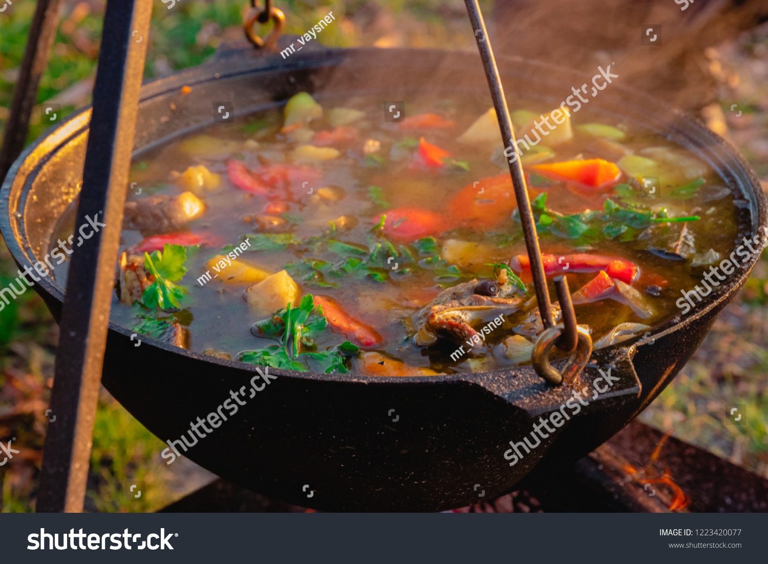 Книга по запеканию мяса на костре